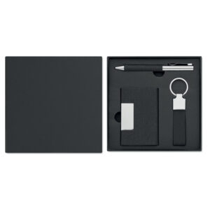 Alternative view of SCRIBI 3