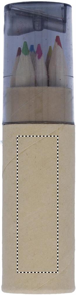CARTON BACK